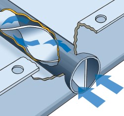 tran-pan-illustration3